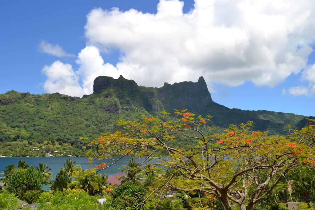 Te Fare Hinahei Apartment Moorea Exterior photo